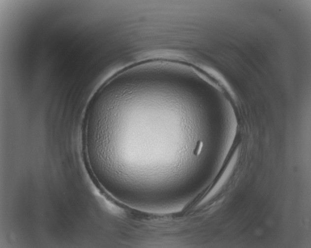 X0000083000999200702081855