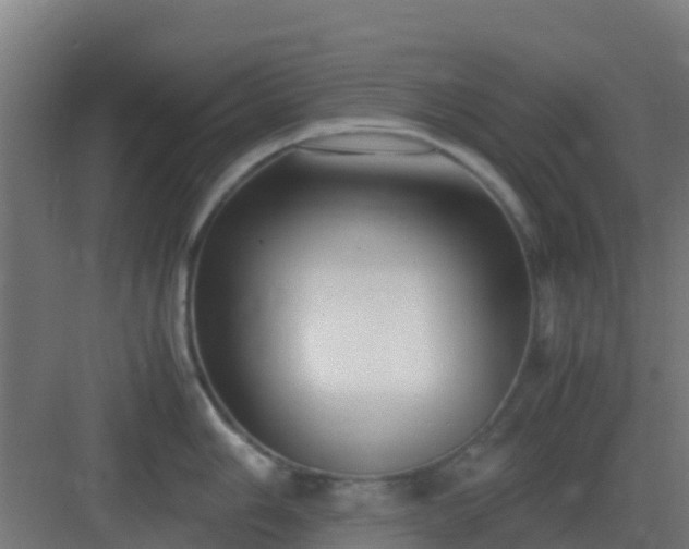 X0000083001006200702081855