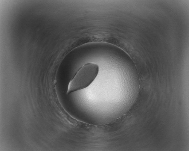 X0000083001009200702081854