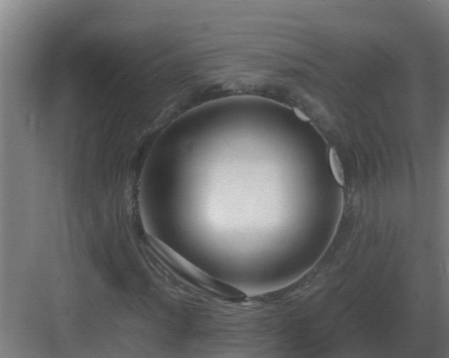 X0000083001012200702081855