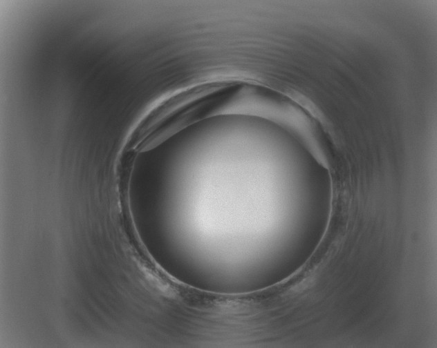 X0000083001022200702081855