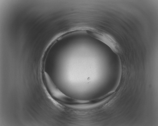 X0000083001046200702081855