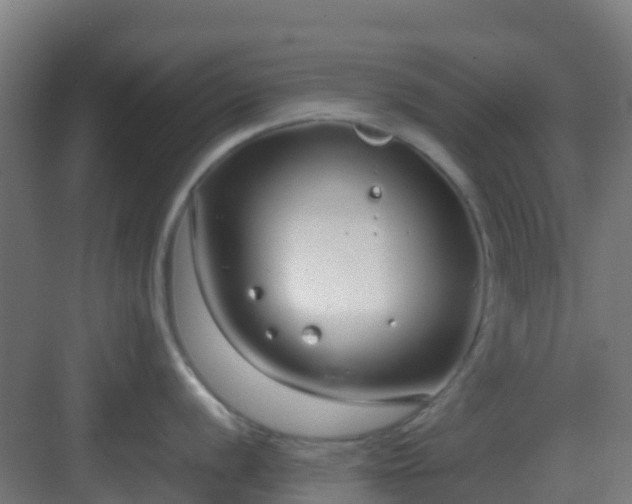 X0000083001056200702081855