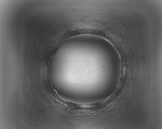 X0000083001061200702081854