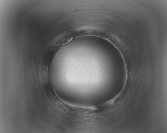 X0000083001062200702081854