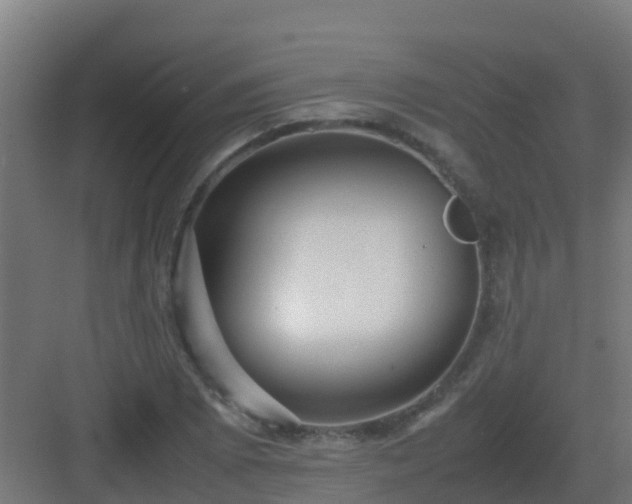 X0000083001073200702081854