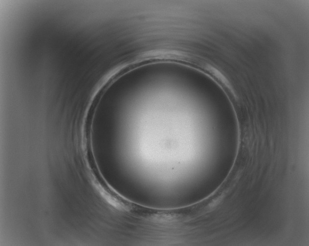 X0000083001082200702081854