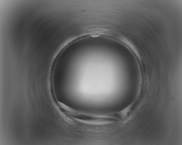 X0000083001093200702081854