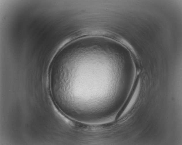 X0000083001095200702081854