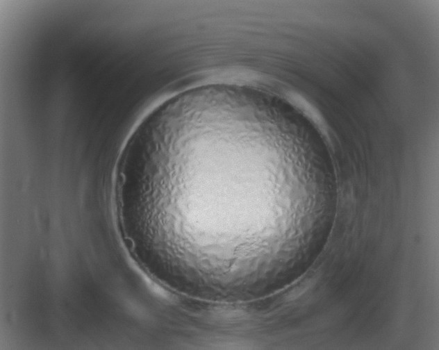 X0000083001103200702081854