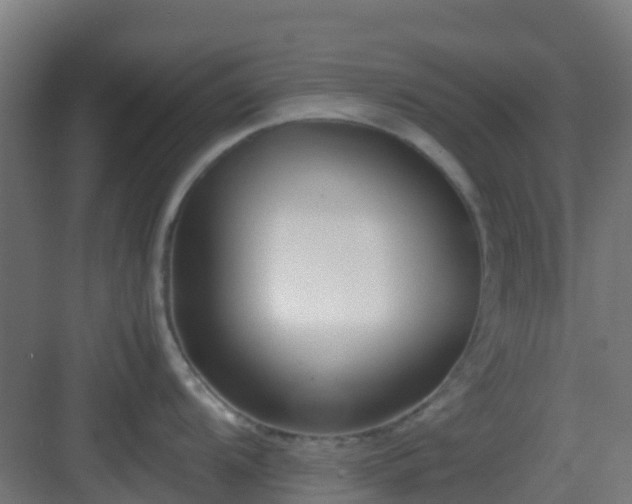 X0000083001104200702081854