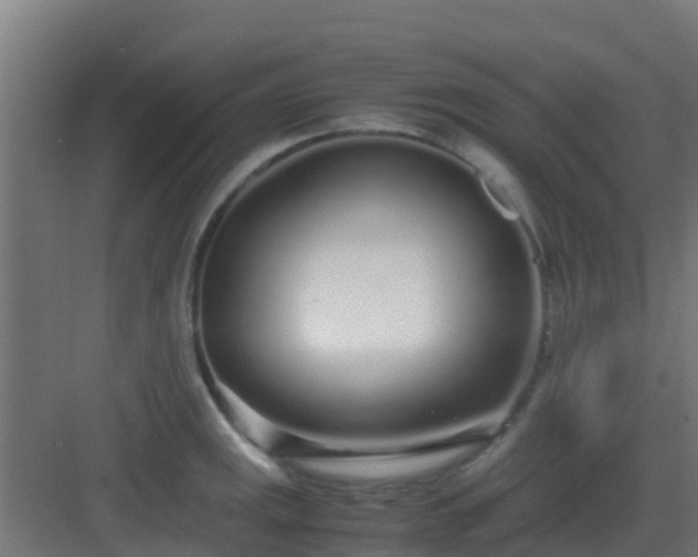 X0000083001141200702081853