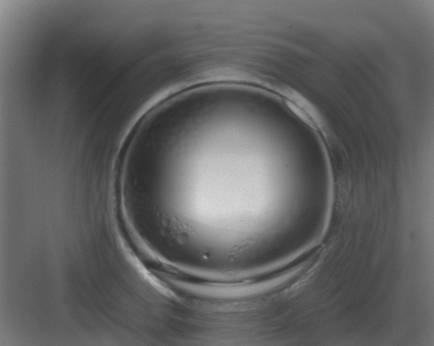 X0000083001142200702081853