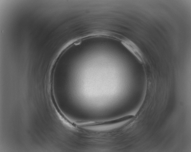 X0000083001143200702081854