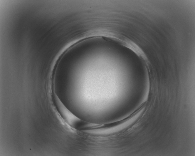 X0000083001144200702081854