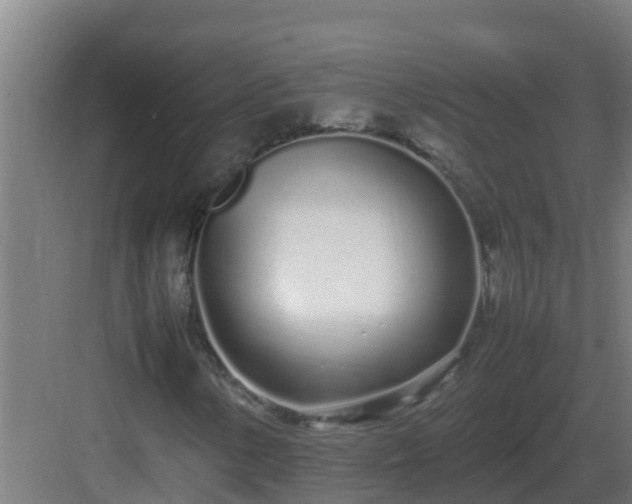 X0000083001154200702081853
