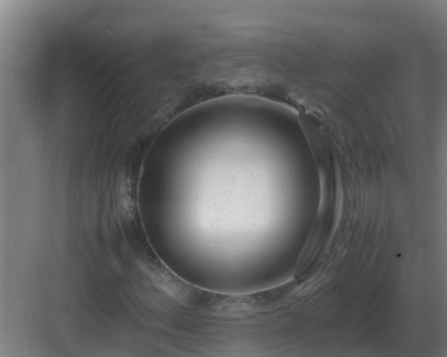 X0000083001156200702081853