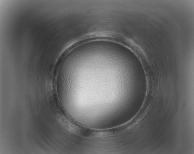 X0000083001166200702081853