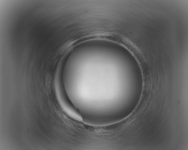 X0000083001169200702081853