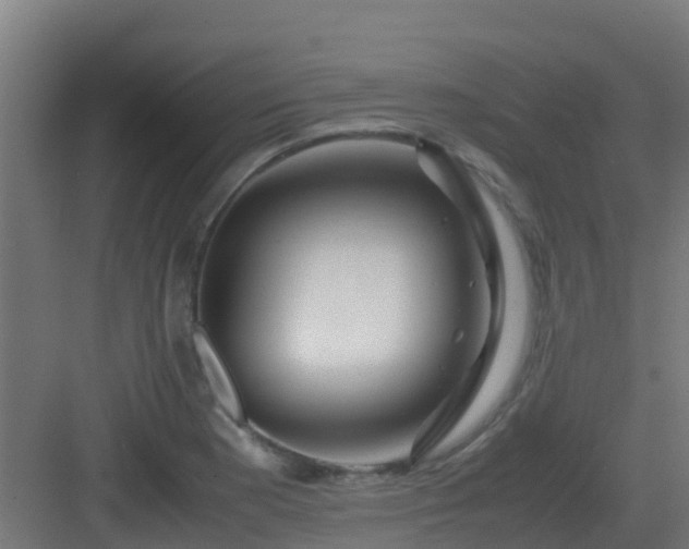 X0000083001177200702081852