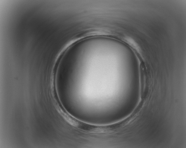 X0000083001179200702081852