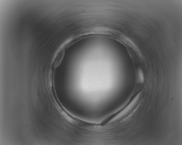 X0000083001180200702081852