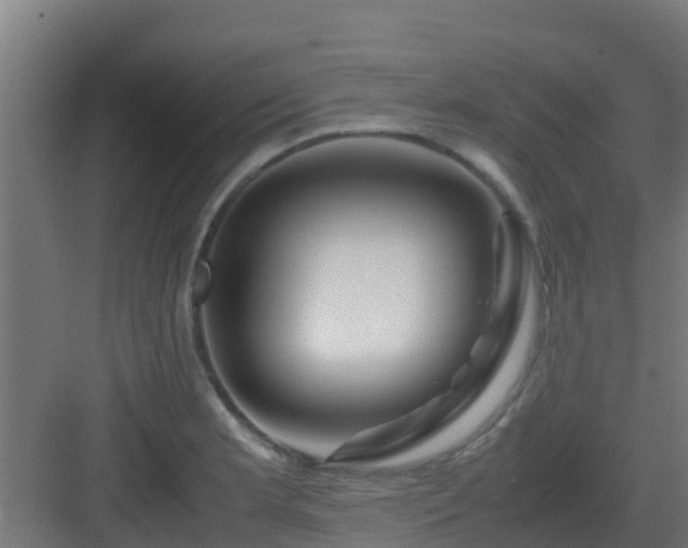 X0000083001181200702081852
