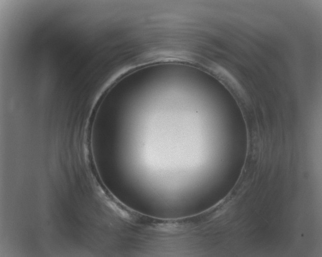 X0000083001182200702081852