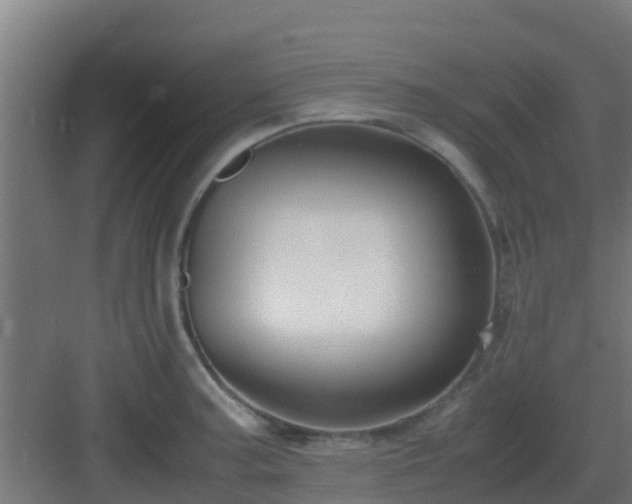 X0000083001187200702081852