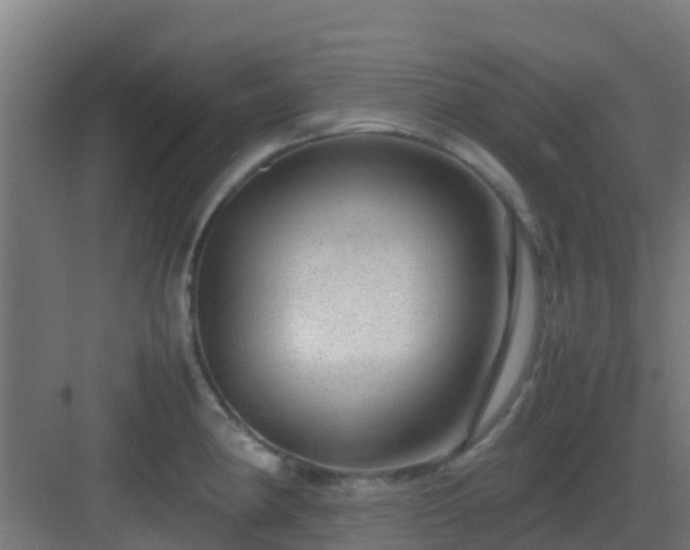 X0000083001190200702081852