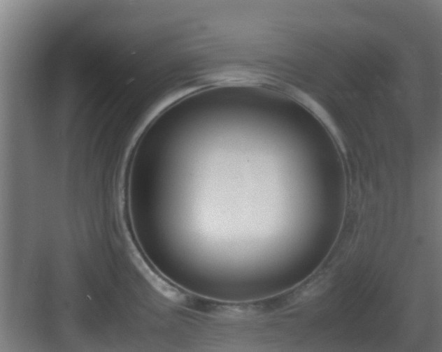 X0000083001195200702081852