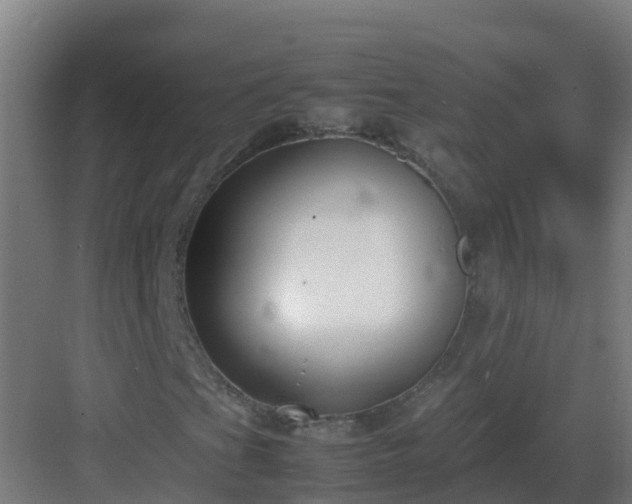 X0000083001201200702081851