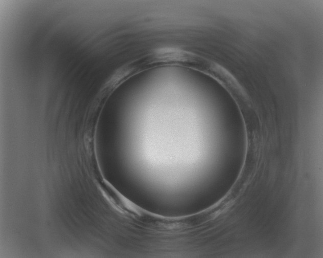 X0000083001225200702081852
