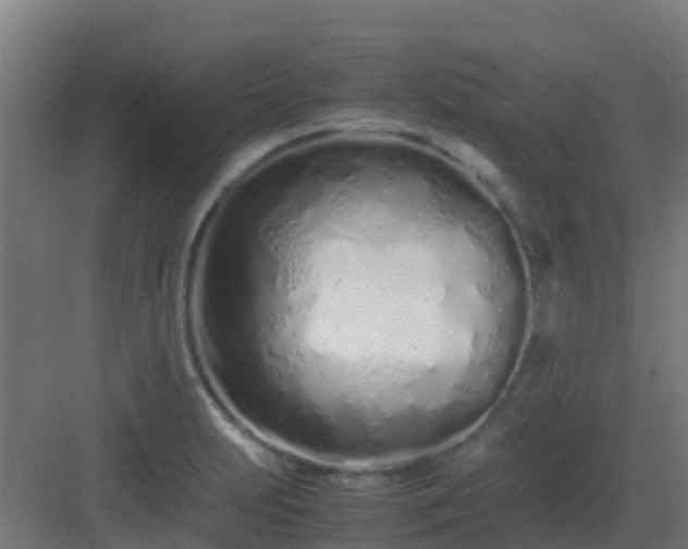 X0000083001231200702081852