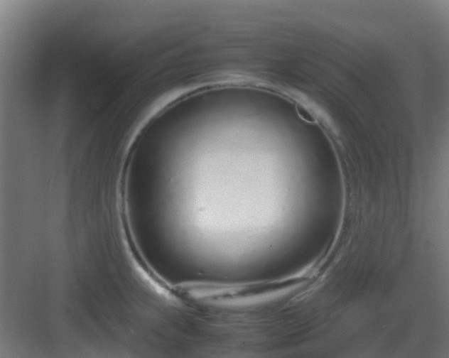 X0000083001239200702081852