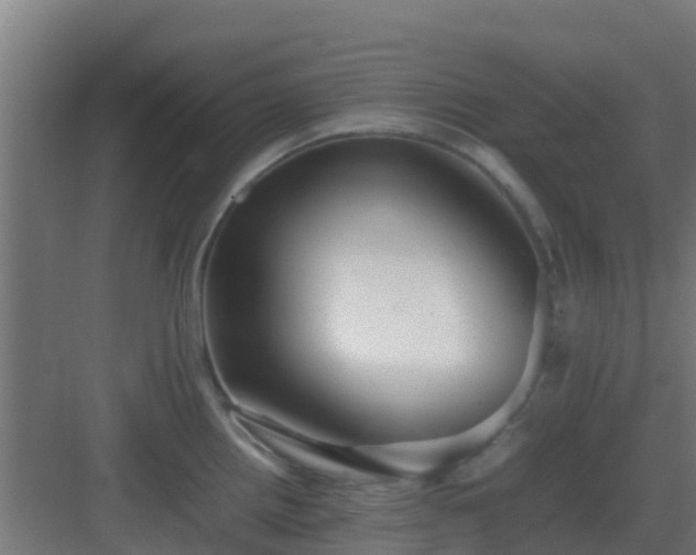 X0000083001242200702081852