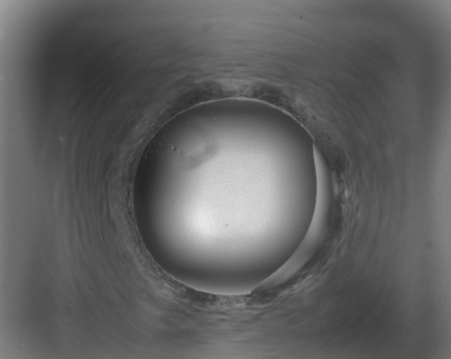 X0000083001249200702081851