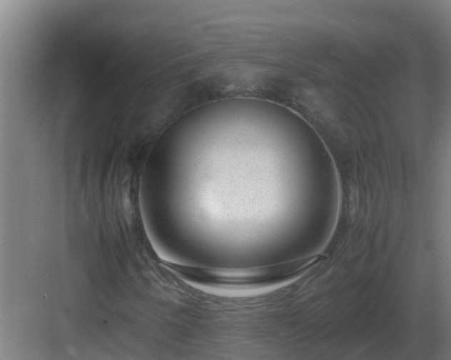 X0000083001250200702081851