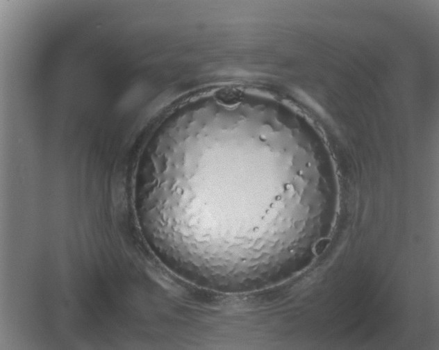 X0000083001259200702081851
