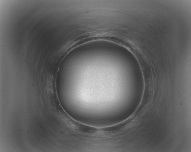X0000083001265200702081851