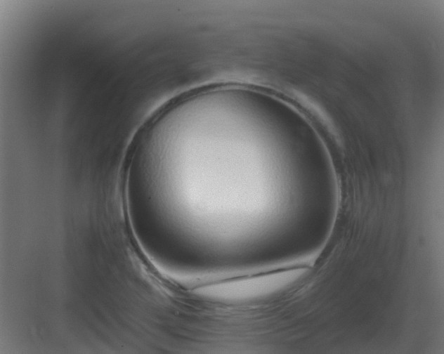 X0000083001272200702081851