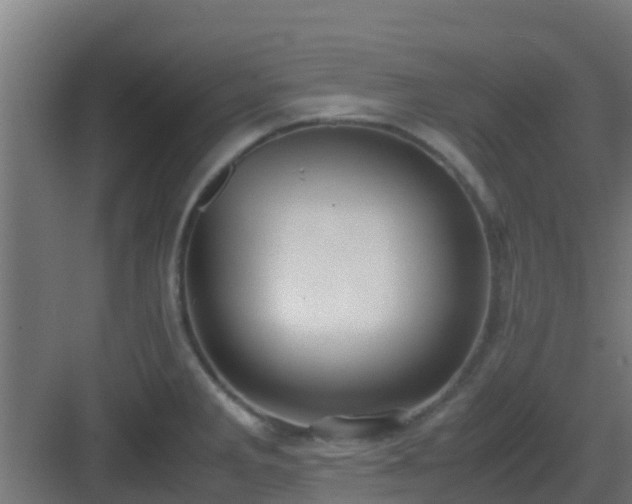 X0000083001285200702081851