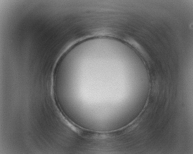 X0000083001286200702081851