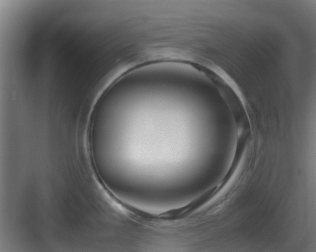 X0000083001293200702081850