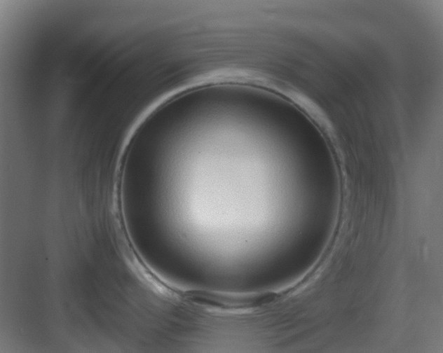 X0000083001296200702081850