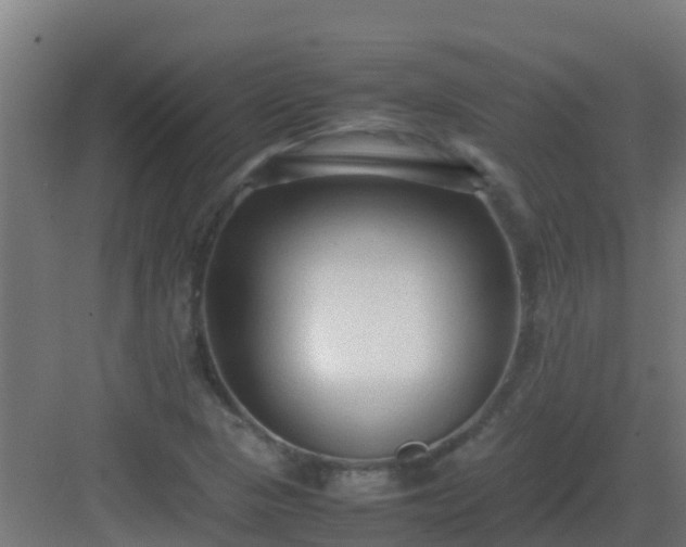 X0000083001313200702081850