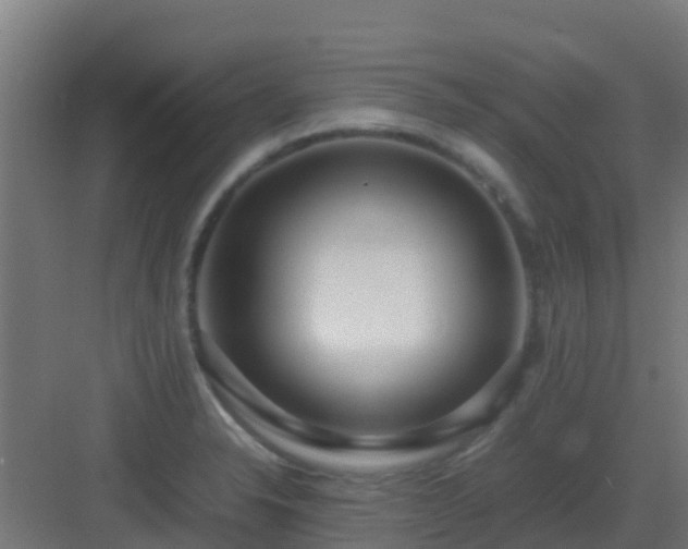 X0000083001326200702081850
