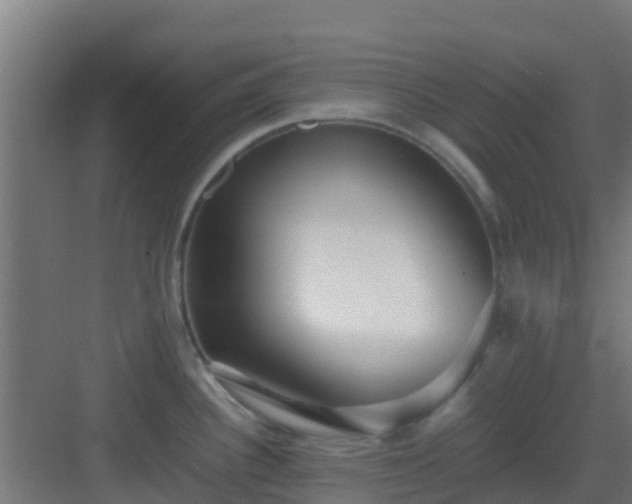 X0000083001340200702081850
