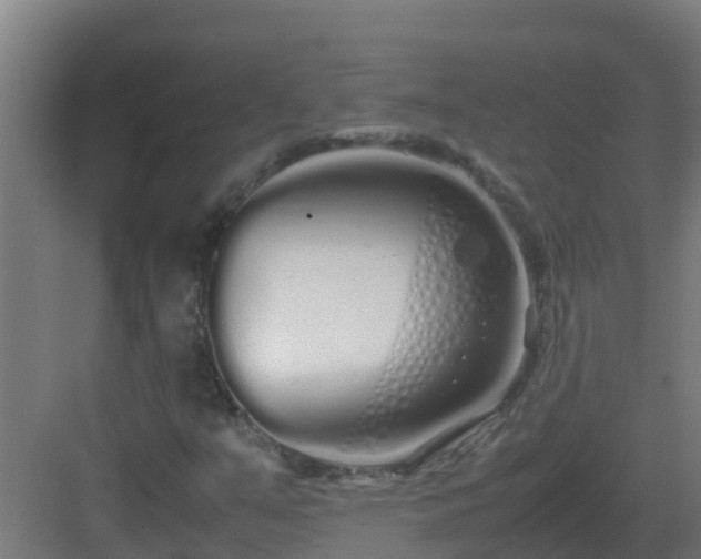 X0000083001351200702081849