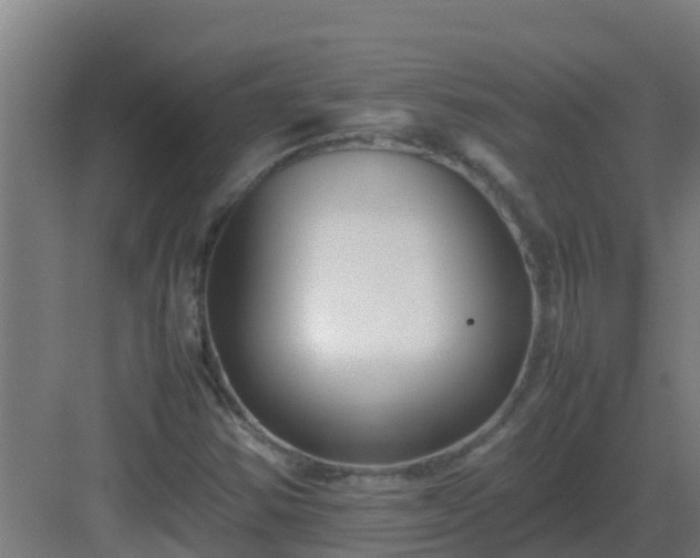 X0000083001354200702081849